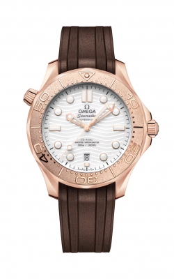 Omega Seamaster Watch 210.52.42.20.04.001 product image