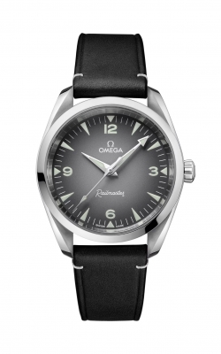 Omega Seamaster Watch 235.12.38.20.06.001 product image