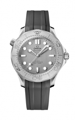 Omega Seamaster Watch 210.32.42.20.06.002 product image