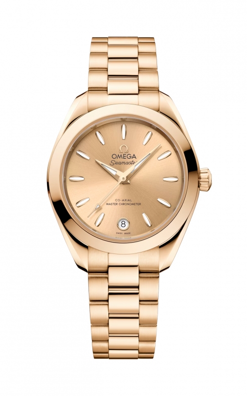 Omega Seamaster Watch 220.50.30.20.08.001product image