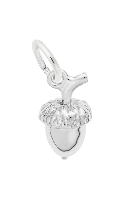 Rembrandt Charms Acorn Accent Charm 0993 product image
