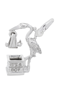 Rembrandt Charms It's A Boy Stork Charm 1251 product image
