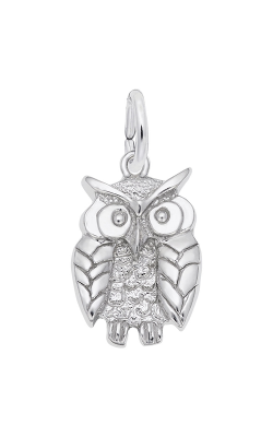 Rembrandt Charms Wise Owl Charm 1673 product image