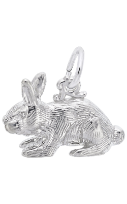 Rembrandt Charms Rabbit Charm 2264 product image