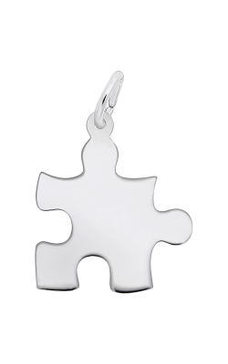 Rembrandt Charms Autism Awareness Puzzle Piece Charm 2479 product image