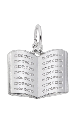 Rembrandt Charms Open Book Charm 3160 product image