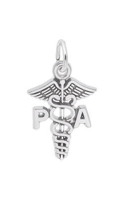 Rembrandt Charms Physicians Assistant Caduceus Charm 3316 product image