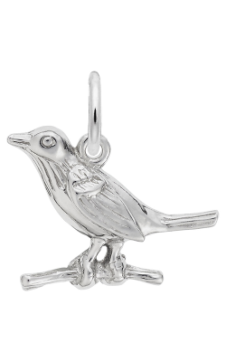 Rembrandt Charms Robin Charm 3420 product image