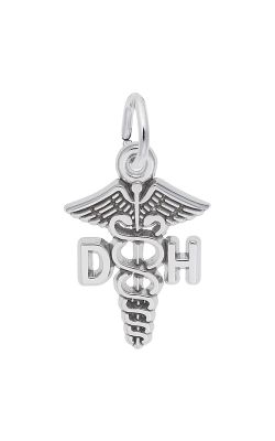 Rembrandt Charms Dental Hygienist Caduceus Charm 3672 product image