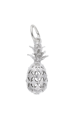 Rembrandt Charms Hawaiian Pineapple Charm 4211 product image