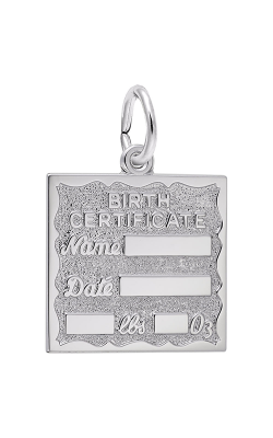 Rembrandt Charms Birth Certificate Charm 4763 product image