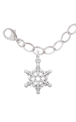 Rembrandt Charms Bracelet Set 27-7816-112 product image