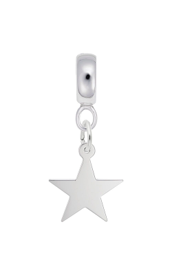 Rembrandt Charms Star-Classic Series Charm 3484 product image