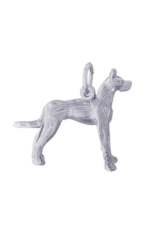 Rembrandt Charms Great Dane Charm 0272product image