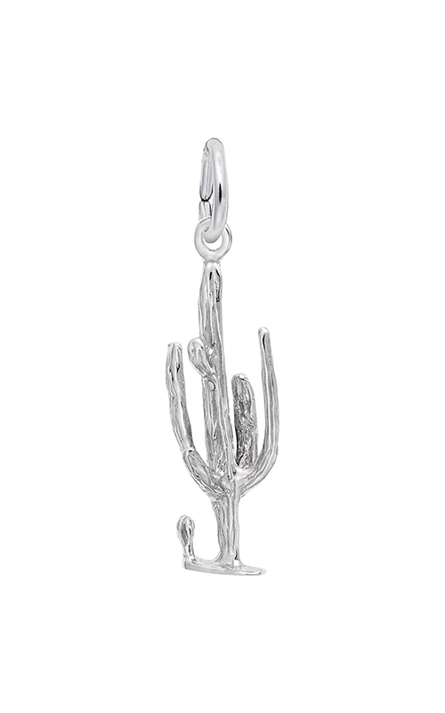 Rembrandt Charms Cactus Charm 1576product image