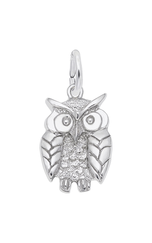 Rembrandt Charms Wise Owl Charm 1673product image