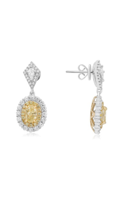 Roman And Jules Yellow Label Earrings NE872-1 product image