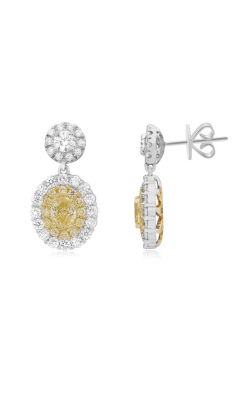 Roman And Jules Yellow Label Earrings NE704-5 product image