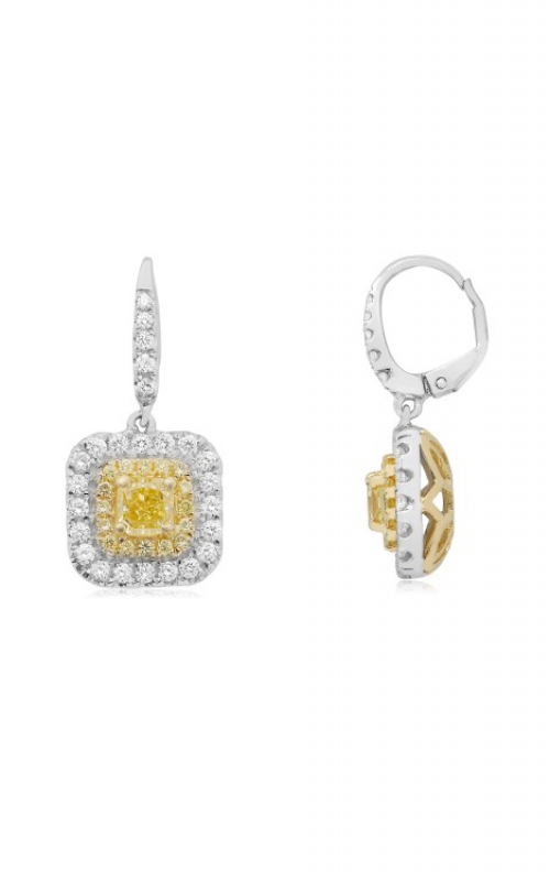 Roman and Jules Yellow Label Earrings NE806-5product image