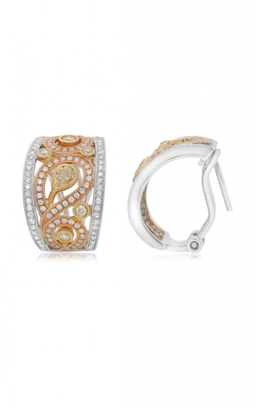 Roman and Jules Fashion Label Earrings KE2487WRY-18Kproduct image