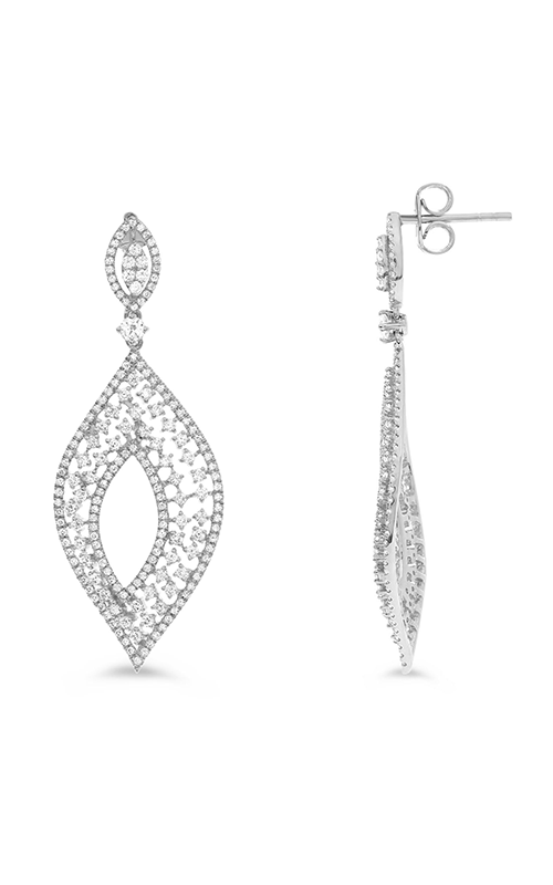 Roman and Jules Fashion Label Earrings DE1045-2product image