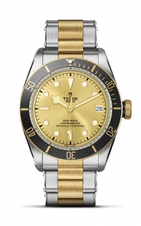 Tudor Black Bay S&G  M79733N-0004 product image Tudor Black Bay S&G  M79733N-0004 product image