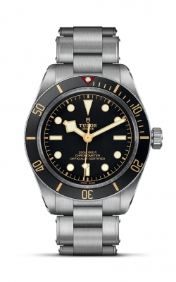 Tudor Black Bay 58  M79030N-0001 product image
