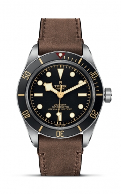 Tudor Black Bay 58  M79030N-0002 product image