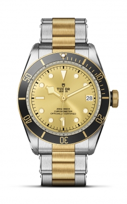 Tudor Black Bay S&G  M79733N-0004 product image Tudor Black Bay S&G  M79733N-0004 product image