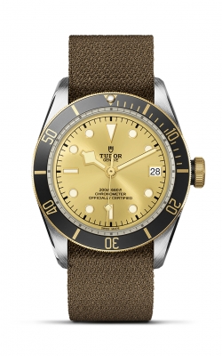 Tudor Black Bay S&G  M79733N-0006 product image Tudor Black Bay S&G  M79733N-0006 product image