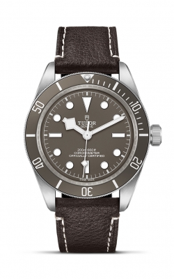 Tudor Black Bay 58 925  M79010SG-0001 product image