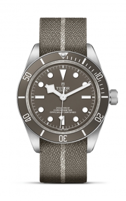 Tudor Black Bay 58 925  M79010SG-0002 product image