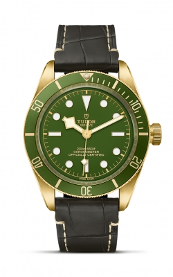 Tudor Black Bay 58 18K  M79018V-0001 product image