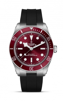 Tudor Black Bay 58  M7939A1A0RU-0003 product image