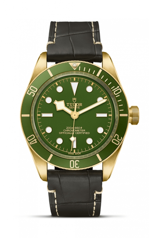 TUDOR Black Bay 58 in 18K Yellow Gold M79018V-0001 at Rodeo