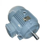 WEG Electric Corp 00718EP3E213T