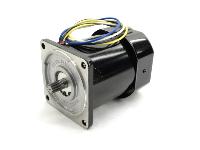 Oriental Motor 5IK60GS-A2F