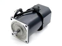 Oriental Motor 5IK60GU-SWM