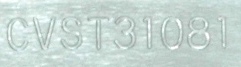 Yaskawa CVST31081 label image