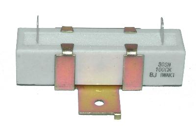 Iwaki RES-100-OHM-30W-75-19-19