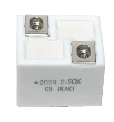 Iwaki RES-2.5-OHM-20W-25-30-24 front image