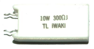 Iwaki RES-300-OHM-10W-10-6-29
