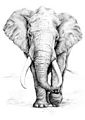 Elephant Icon