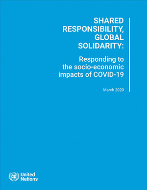 Responding to the Socio-economic Impacts of COVID-19 Cover