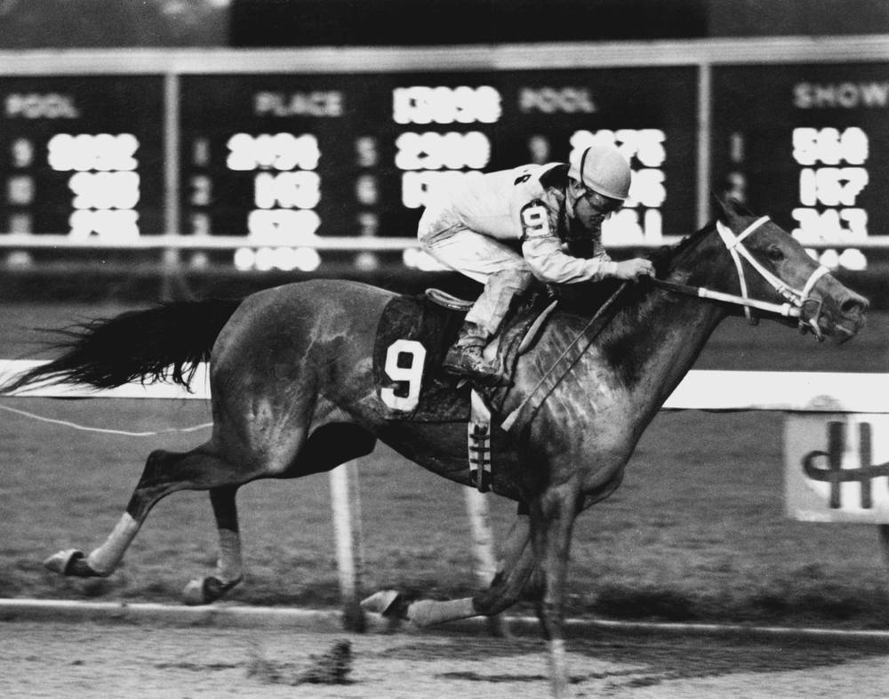 Ells Noble Racehorse, Vintage Kentucky Derby Races B&W Photo Poster, Imagekind - Picture 7 of 20