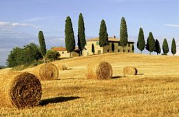 <font face="arial" color="#CF7829">OCTOBER 2012: FLAVORS OF ITALY</font><br /> With KING FM’s Sean MacLean
