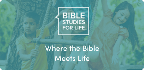Bible Studies for Life brand