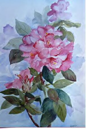 Artwork by Laura Chirillo