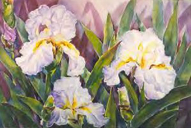 Artwork by Laura Chirillo