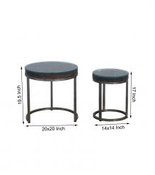 WDN+IRON  COFFEE TABLE SET OF 2